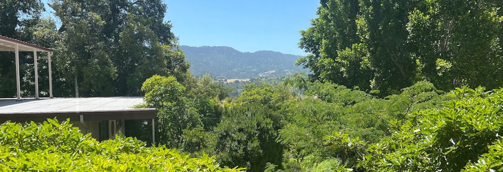 other foundations page kfa